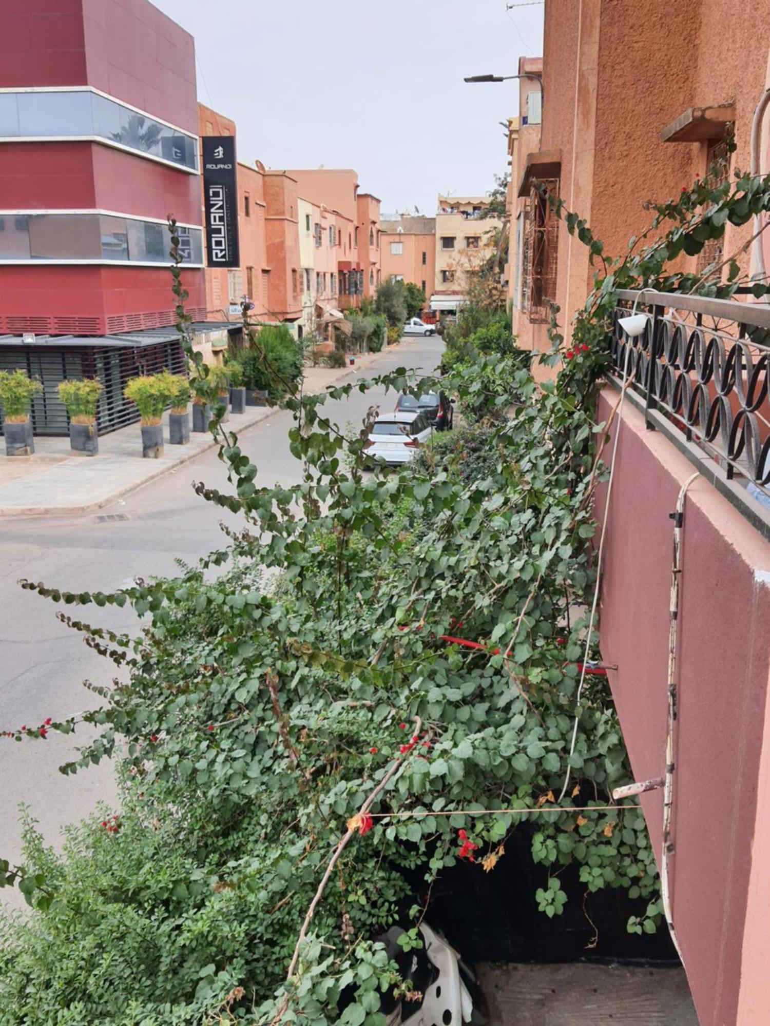 Marrakech Plus Marrakesh Eksteriør bilde