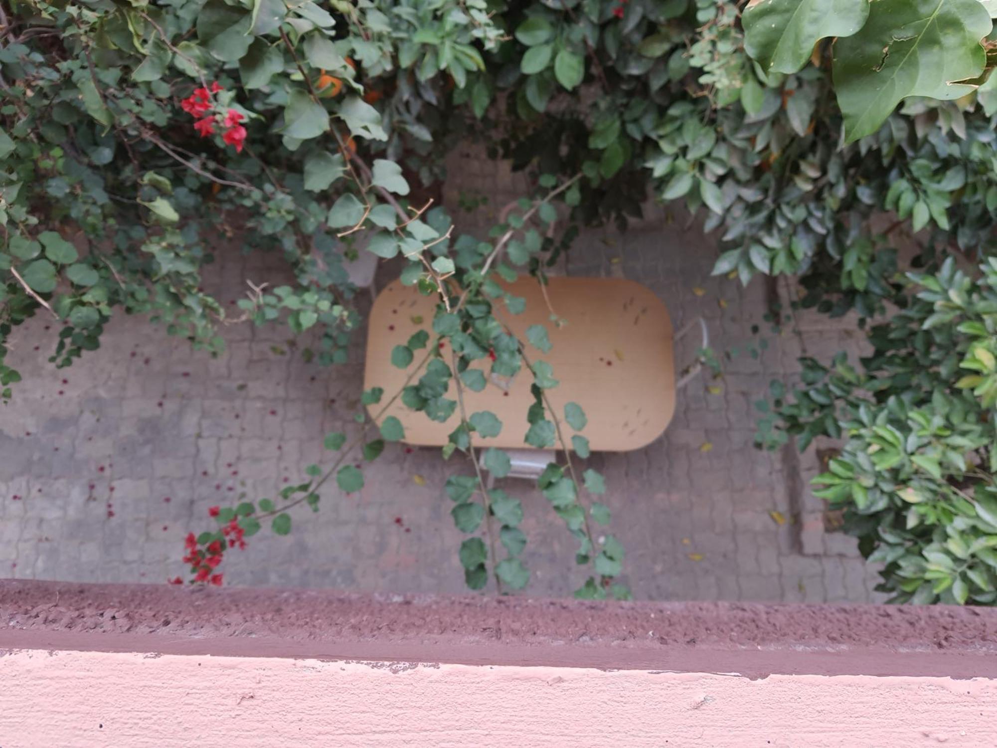 Marrakech Plus Marrakesh Eksteriør bilde